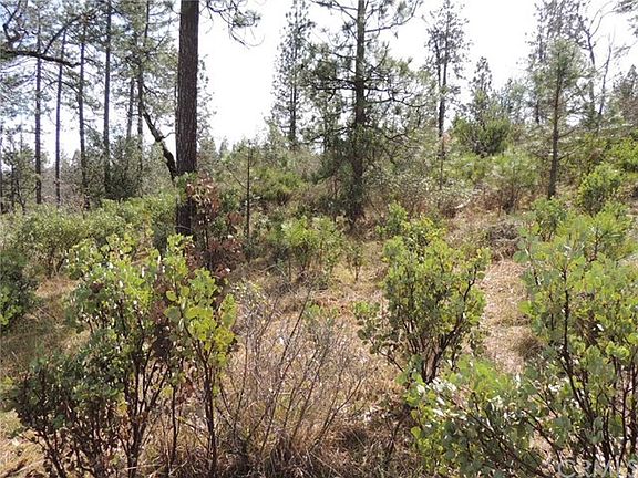 Some gentle sloping areas