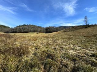 151 Timber Ridge Rd, Del Rio, TN 37727