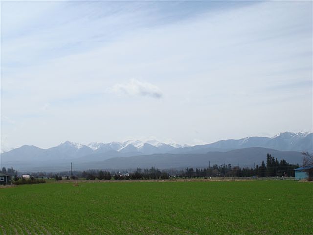 Beautiful Olympic Mountain Views!