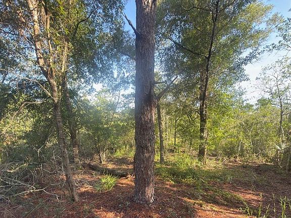 3rd image of 19037 PARAKEET ROAD LOT 16