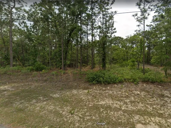 7094 N Maltese Dr, Citrus Springs, FL 34433