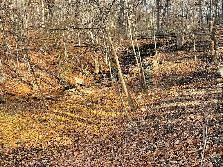 461 Route 199 — Photo 30