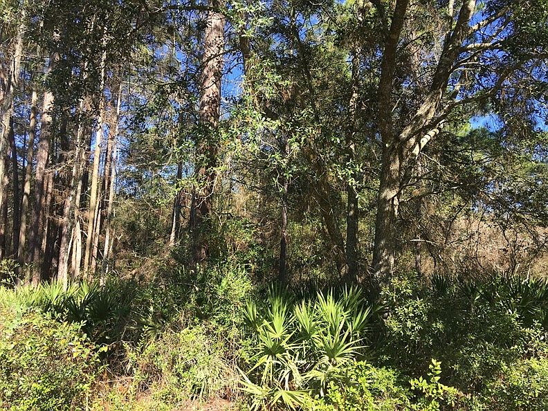 2nd image of 232 S County Rd