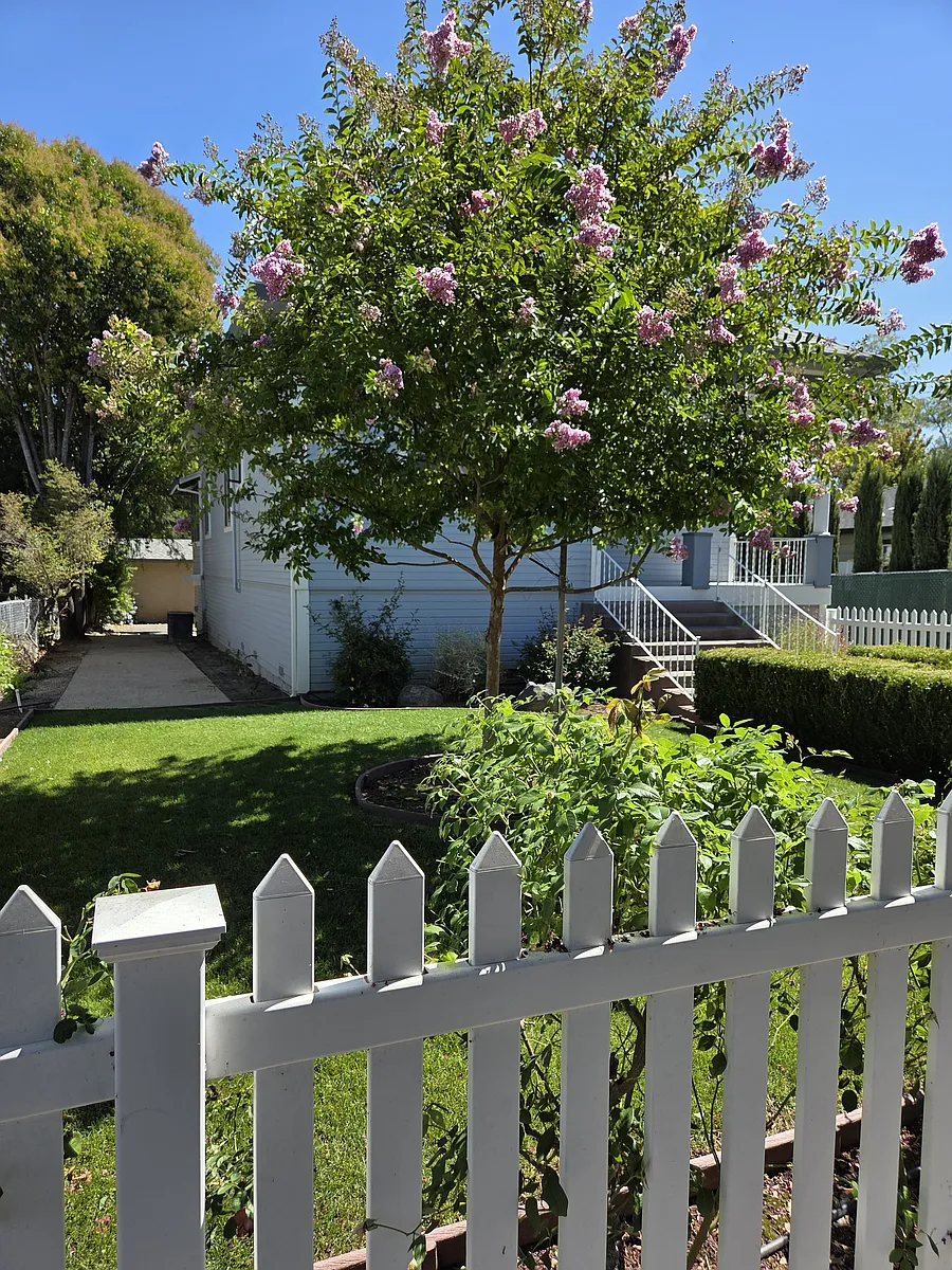 North side of front of house - 204 N Main St
