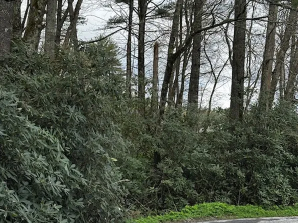 0 Wilson Road, Highlands, NC 28741