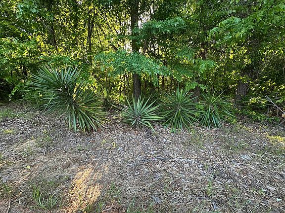 5th image of 0 County Road 364
