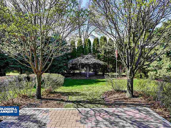 Privacy on the patio