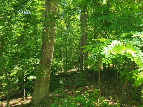 8 Mechunk Ter, Palmyra, VA 22963