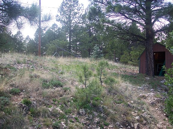 back yard, storage shed