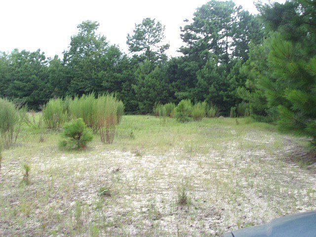 2nd image of 329 Hutto Pond Rd