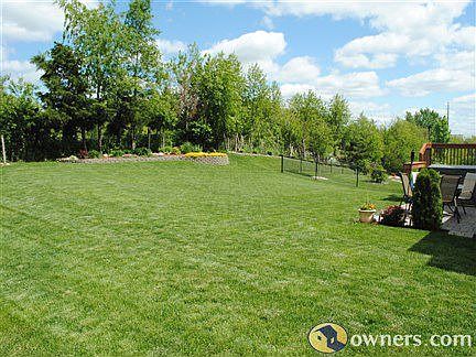 Great Back Yard