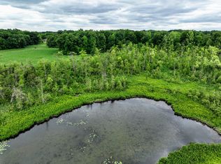 Mud Lake Rd, Bellevue, MI 49021