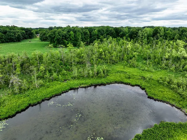Mud Lake Rd, Bellevue, MI 49021