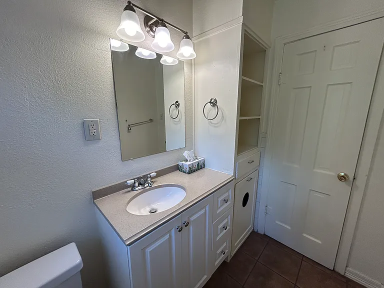 Recently updated vanity and sink