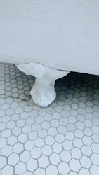 Rented by Frank Galeano Licensed Real Estate Broker INC