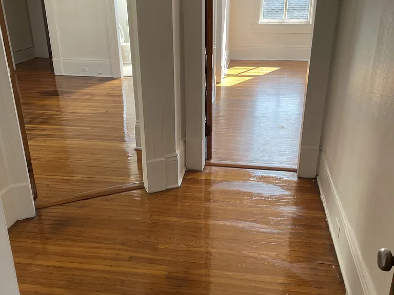 3915 Prytania St — Photo 4