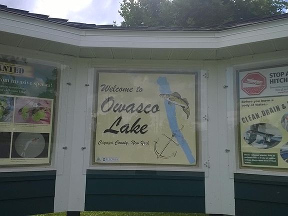 Across the street from Owasco Lake