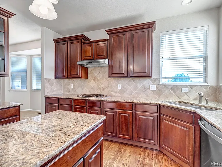 17016 Pale Anemone St — Photo 12