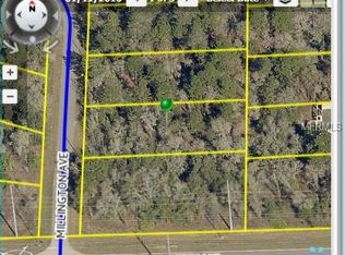 12335 Millington Ave, Weeki Wachee, FL 34614