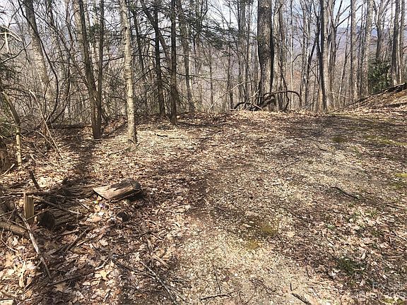 2nd image of 20 Dogwood Dr