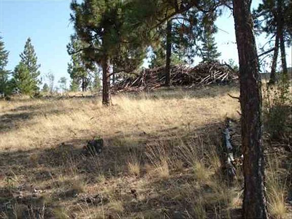 5th image of 13805 E Bellessa Ln