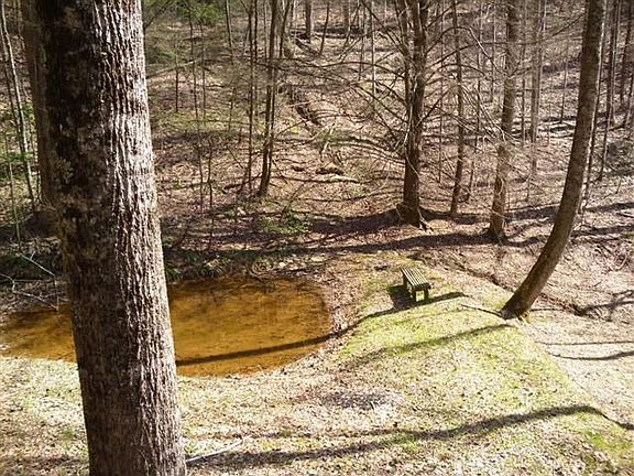 3rd image of 1102 Hemlock Hollow Rd