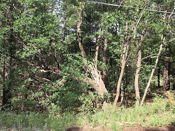 4th image of 193 W Pine Shadow Dr