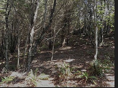 5th image of 227 Hillside Dr