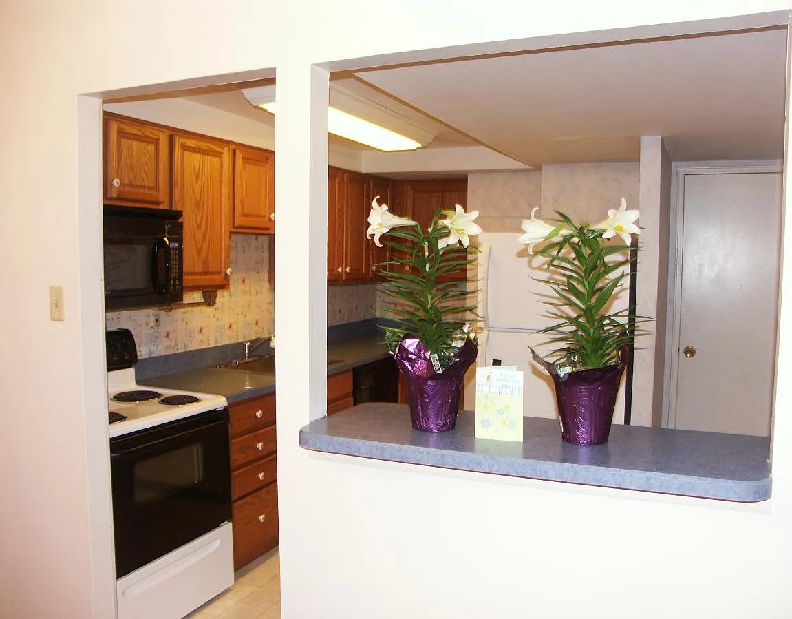 2 bed, 1.5 bath, 966 sqft, $1,980 — Photo 2