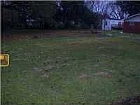 1st image of 2813 Pine St