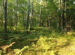 Vl N Lasalle Rd, Free Soil, MI 49411