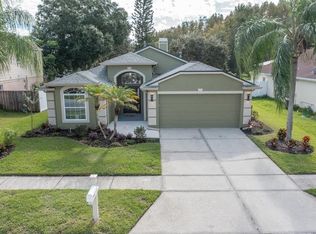 28939 Stormcloud Pass, Wesley Chapel, FL 33543