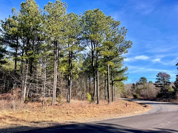 (undisclosed Address), Ozone, AR 72854