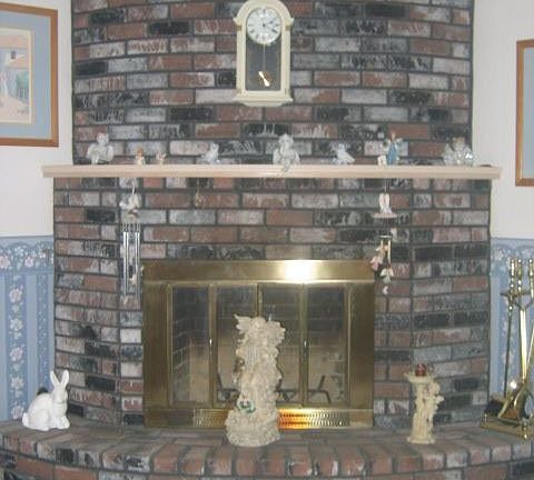 fire place in the living room