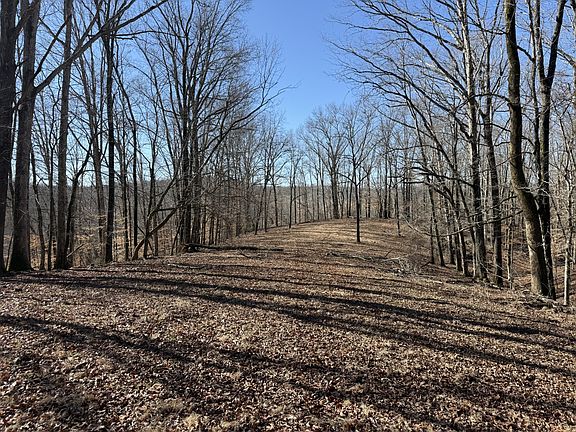 3rd image of 4 N Lick Creek Rd Lot 4