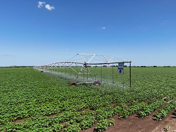 4th image of 254/- Acres Viking Farm Uvalde County Hwy #90