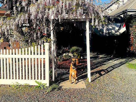 40 foot RV parking on right