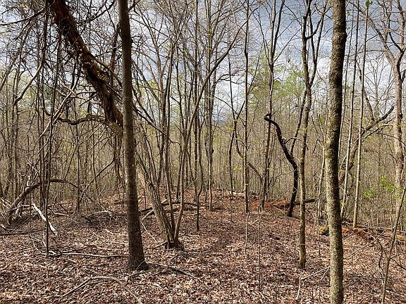 2nd image of LOT 9B Grandview Dr