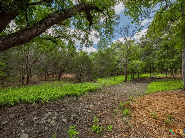 250 E Ridgewood Rd, Georgetown, TX 78633