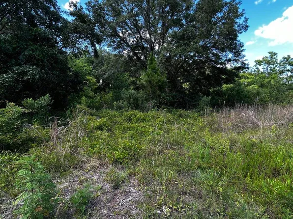 4052 Mahogany Blvd, Bunnell, FL 32110