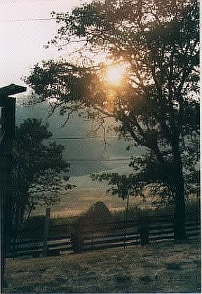 Pasture view to West 