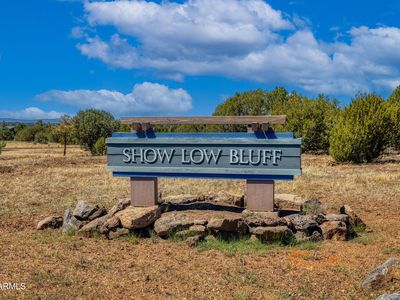 741 S Rockcreek Dr #66, Show Low, AZ, 85901