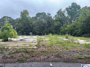 920 Collins St, Hartsville, SC 29550