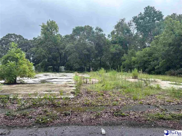 920 Collins St, Hartsville, SC 29550