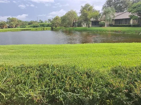 60 Kay Ct, Oldsmar, FL 34677
