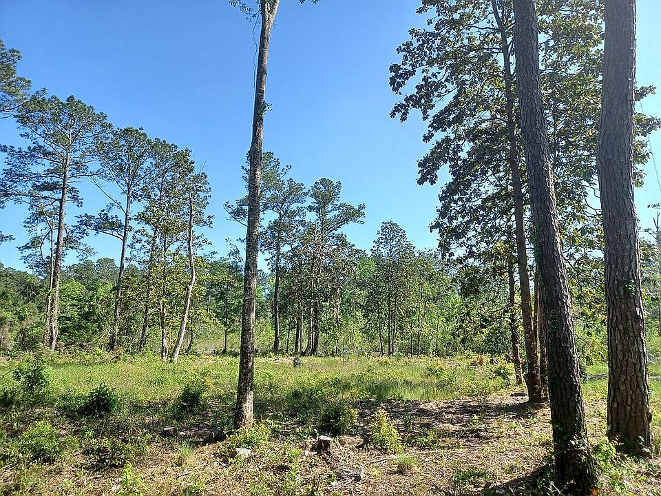 1st image of 10036 S Bayou Cir Lot 2