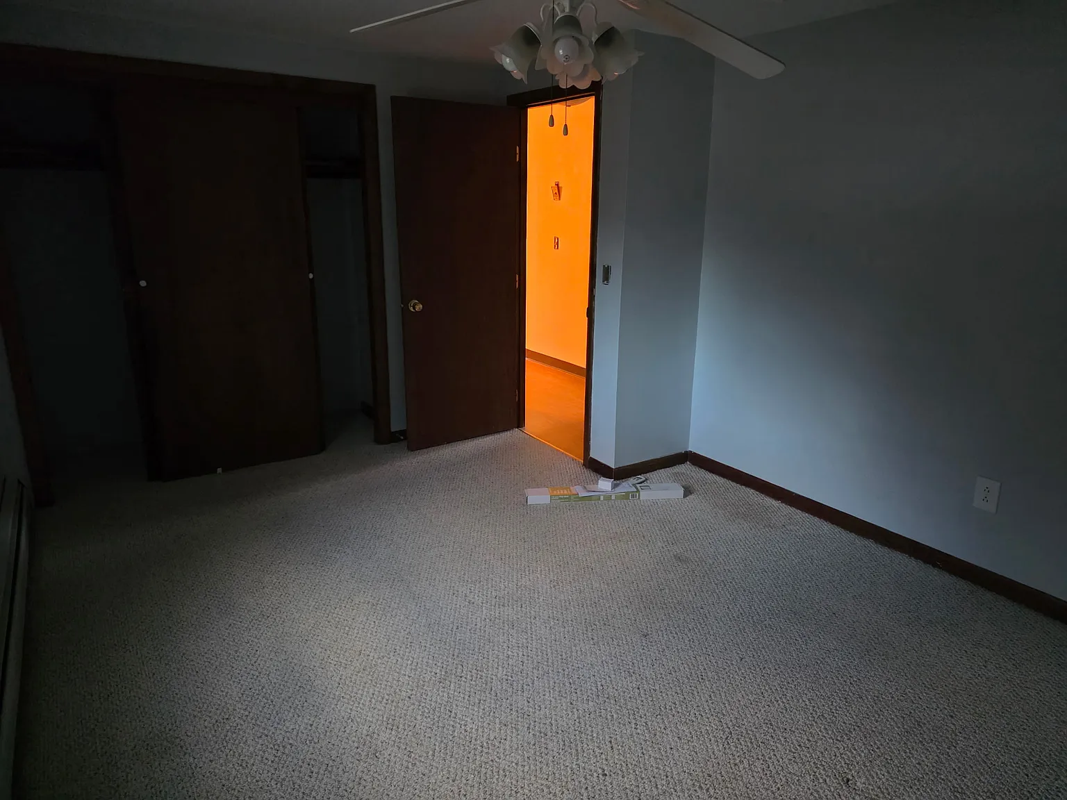 11 Richard St — Photo 4