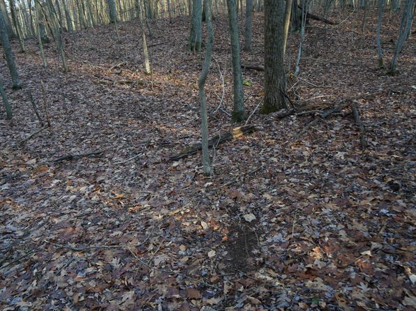 LOT 6 Klondike Rd, Confluence, PA 15424