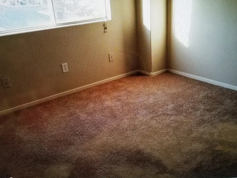 3367 Sparrow Heights Ave — Photo 16