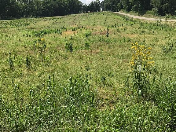 5th image of Township Road 2104